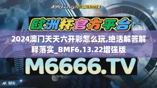 2024澳门天天六开彩怎么玩,绝活解答解释落实_BMF6.13.22增强版