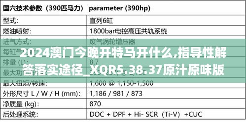 2024澳门今晚开特马开什么,指导性解答落实途径_XQR5.38.37原汁原味版