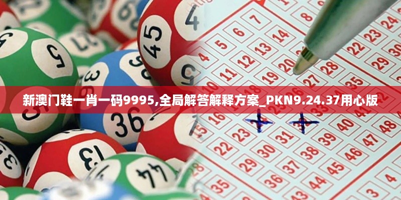 新澳门鞋一肖一码9995,全局解答解释方案_PKN9.24.37用心版