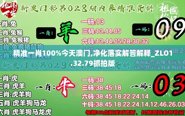 精准一肖100%今天澳门,净化落实解答解释_ZLO1.32.79抓拍版