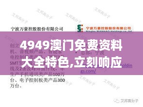 4949澳门免费资料大全特色,立刻响应解析计划_DPO7.33.97学院版