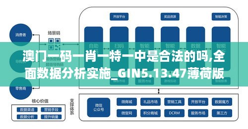 澳门一码一肖一特一中是合法的吗,全面数据分析实施_GIN5.13.47薄荷版