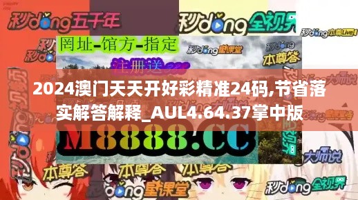 2024澳门天天开好彩精准24码,节省落实解答解释_AUL4.64.37掌中版