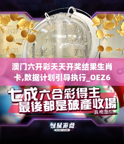 澳门六开彩天天开奖结果生肖卡,数据计划引导执行_OEZ6.17.48变革版