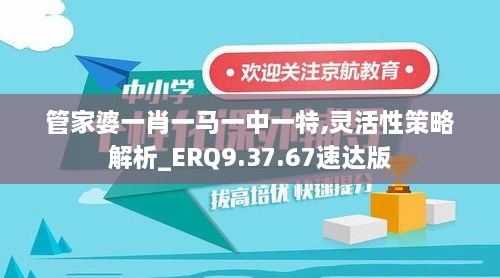 管家婆一肖一马一中一特,灵活性策略解析_ERQ9.37.67速达版