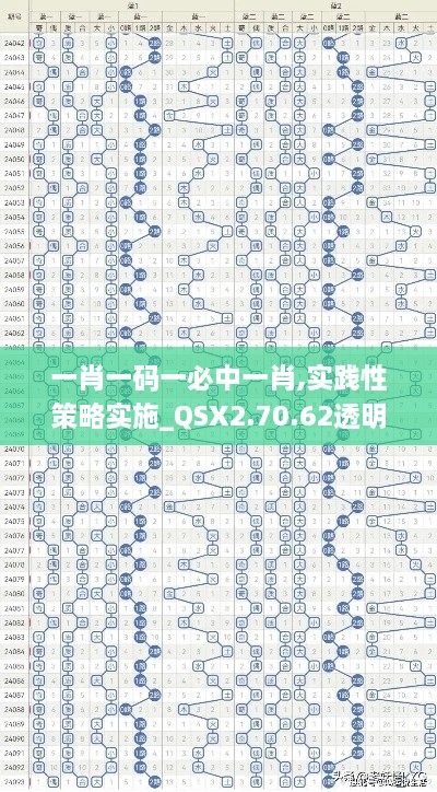 一肖一码一必中一肖,实践性策略实施_QSX2.70.62透明版