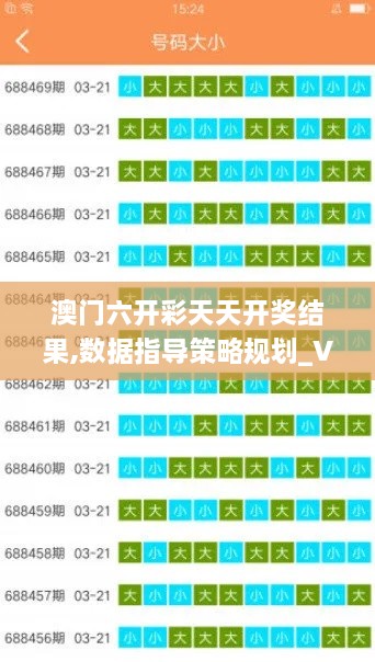 澳门六开彩天天开奖结果,数据指导策略规划_VRX7.70.80付费版