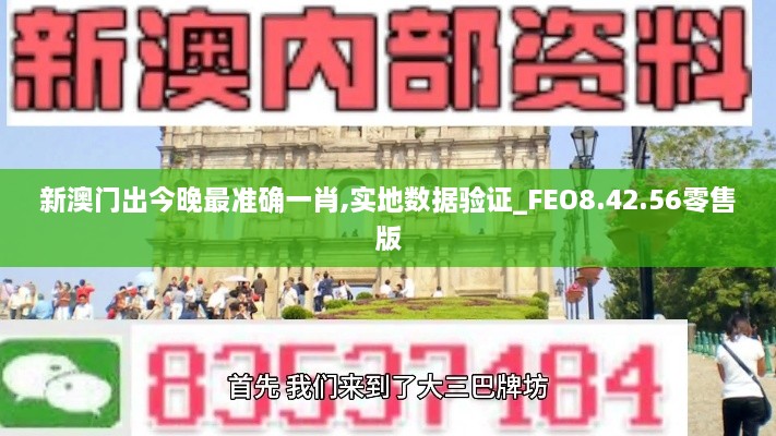 新澳门出今晚最准确一肖,实地数据验证_FEO8.42.56零售版