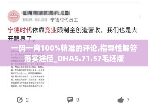 一码一肖100%精准的评论,指导性解答落实途径_DHA5.71.57毛坯版