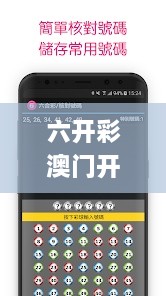 六开彩澳门开奖结果查询,实地验证分析策略_QZS5.68.91设计师版