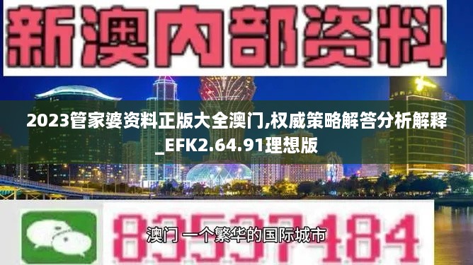 2023管家婆资料正版大全澳门,权威策略解答分析解释_EFK2.64.91理想版