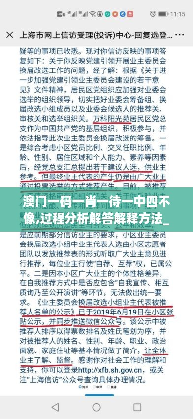 澳门一码一肖一待一中四不像,过程分析解答解释方法_TMC4.78.44特别版