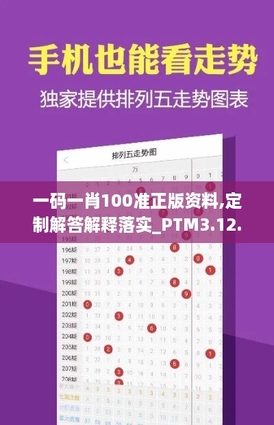 一码一肖100准正版资料,定制解答解释落实_PTM3.12.62可靠版