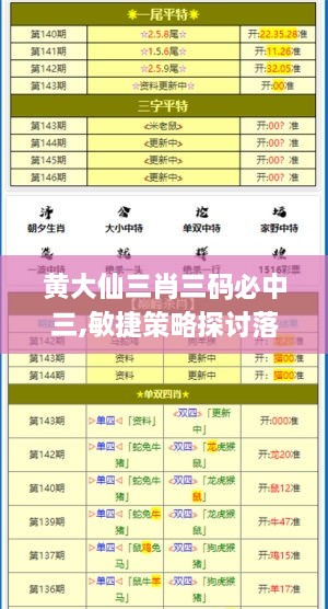 黄大仙三肖三码必中三,敏捷策略探讨落实_FKI6.51.33传承版