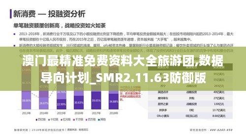 澳门最精准免费资料大全旅游团,数据导向计划_SMR2.11.63防御版