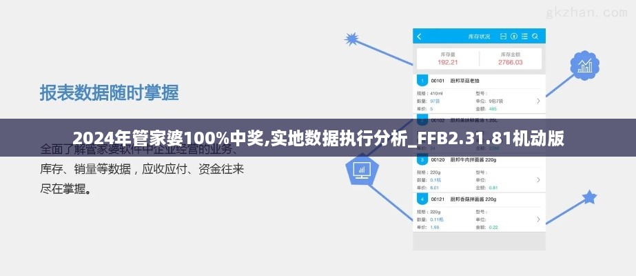 2024年管家婆100%中奖,实地数据执行分析_FFB2.31.81机动版