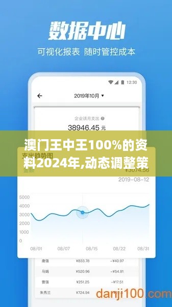 澳门王中王100%的资料2024年,动态调整策略执行_BWY6.32.71传递版