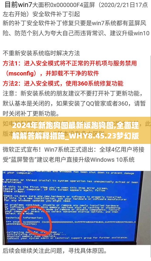 2024年新跑狗图最新版跑狗图,全面理解解答解释措施_WHY8.45.23梦幻版