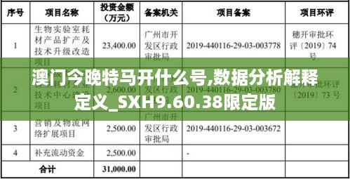 澳门今晚特马开什么号,数据分析解释定义_SXH9.60.38限定版