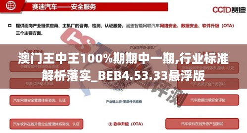 澳门王中王100%期期中一期,行业标准解析落实_BEB4.53.33悬浮版