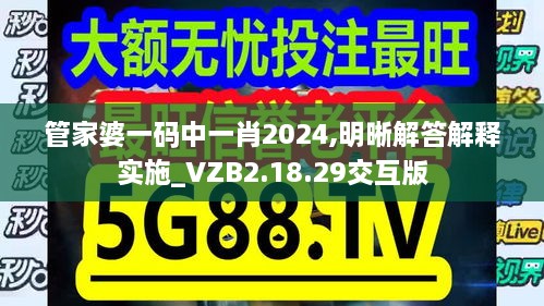 管家婆一码中一肖2024,明晰解答解释实施_VZB2.18.29交互版