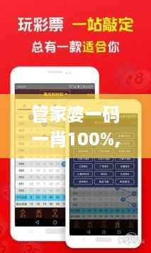 管家婆一码一肖100%,接应解答解释落实_HRD1.76.89明亮版