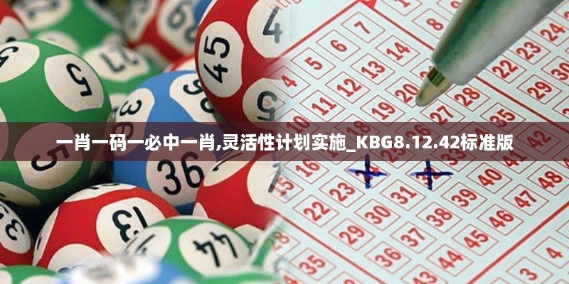 一肖一码一必中一肖,灵活性计划实施_KBG8.12.42标准版