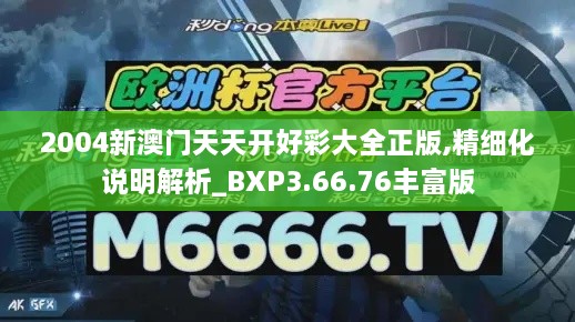 2004新澳门天天开好彩大全正版,精细化说明解析_BXP3.66.76丰富版