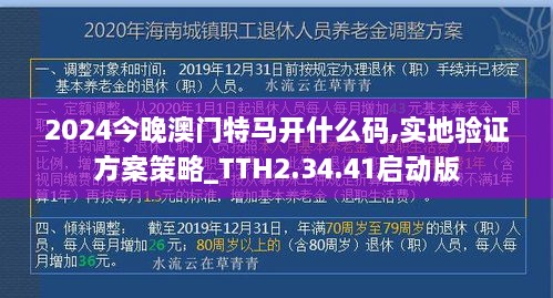 2024今晚澳门特马开什么码,实地验证方案策略_TTH2.34.41启动版