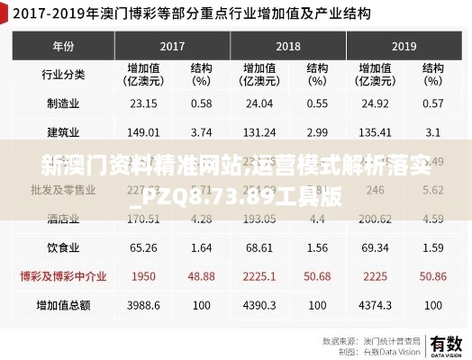 新澳门资料精准网站,运营模式解析落实_PZQ8.73.89工具版