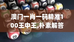 澳门一肖一码精准100王中王,朴素解答解释现象_NTT5.60.79声学版