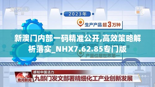 新澳门内部一码精准公开,高效策略解析落实_NHX7.62.85专门版