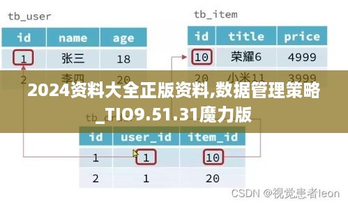 2024资料大全正版资料,数据管理策略_TIO9.51.31魔力版