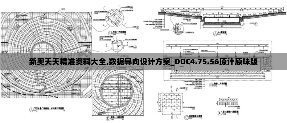 新奥天天精准资料大全,数据导向设计方案_DDC4.75.56原汁原味版