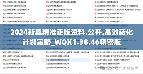 2024新奥精准正版资料,公开,高效转化计划策略_WQX1.38.46精密版