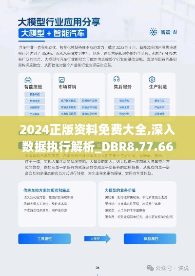 2024正版资料免费大全,深入数据执行解析_DBR8.77.66随身版