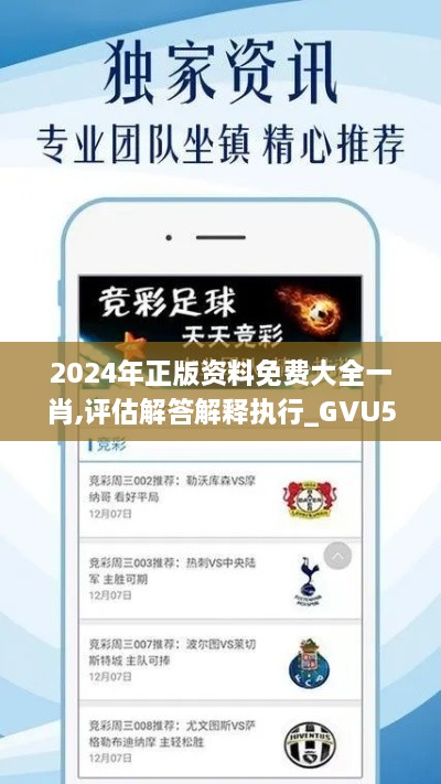 2024年正版资料免费大全一肖,评估解答解释执行_GVU5.29.99优选版