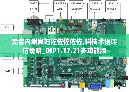 无套内谢寡妇佐佐佐佐佐,科技术语评估说明_DIP1.17.21多功能版