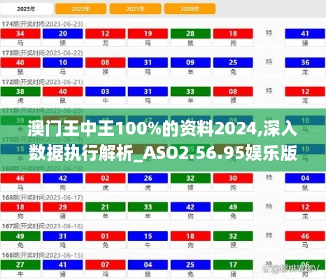 澳门王中王100%的资料2024,深入数据执行解析_ASO2.56.95娱乐版