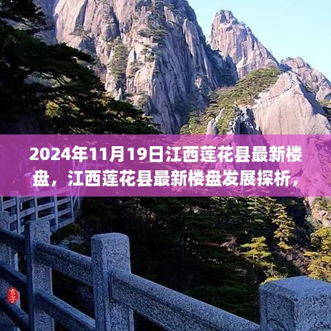 江西莲花县最新楼盘发展观察与思考，2024年11月19日的洞察