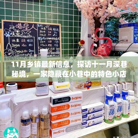 探访十一月深巷秘境，特色小店惊艳之旅（乡镇最新信息）