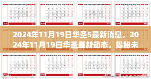 揭秘华圣未来发展动向，最新动态与未来规划展望（2024年11月19日）