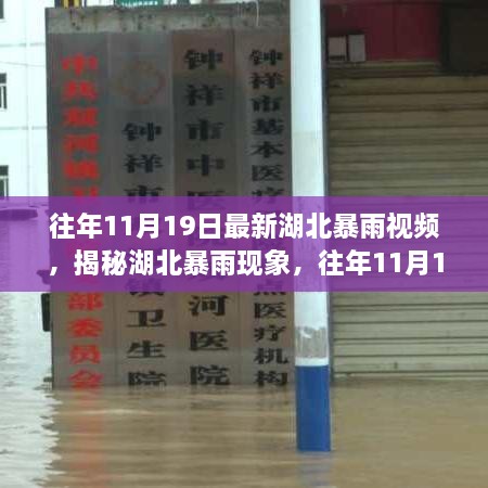 揭秘湖北暴雨现象，往年11月19日暴雨视频回顾与解析