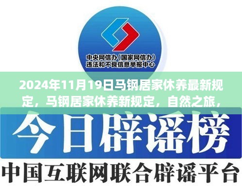 马钢居家休养新规定及自然之旅，心灵的宁静港湾探索