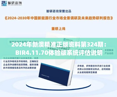 2024年新澳精准正版资料第324期：BIR4.11.70体验版系统评估说明