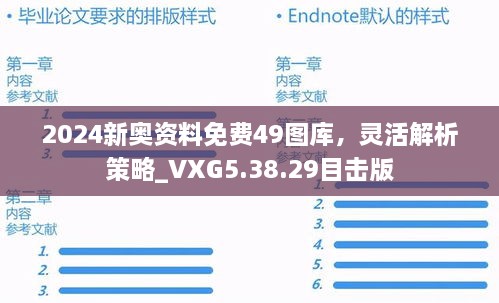 2024新奥资料免费49图库，灵活解析策略_VXG5.38.29目击版