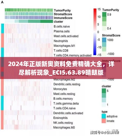 2024年正版新奥资料免费精确大全，详尽解析现象_ECI5.63.89晴朗版