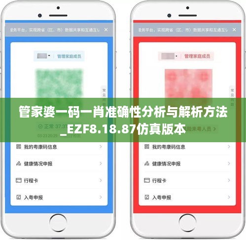 管家婆一码一肖准确性分析与解析方法_EZF8.18.87仿真版本