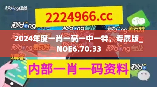 2024年度一肖一码一中一特，专属版_NOE6.70.33