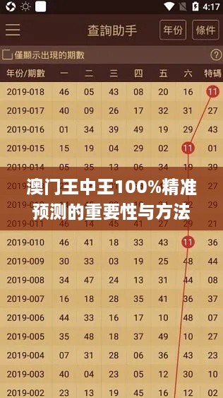 澳门王中王100%精准预测的重要性与方法解析_GXK8.42.78优化版